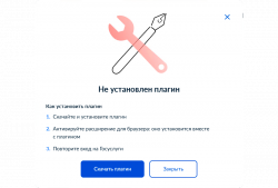 Настройка госплагина