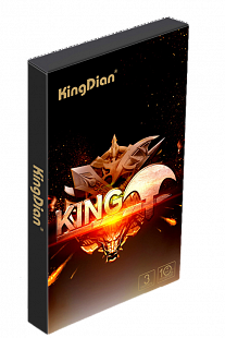 KingDian 2Тб